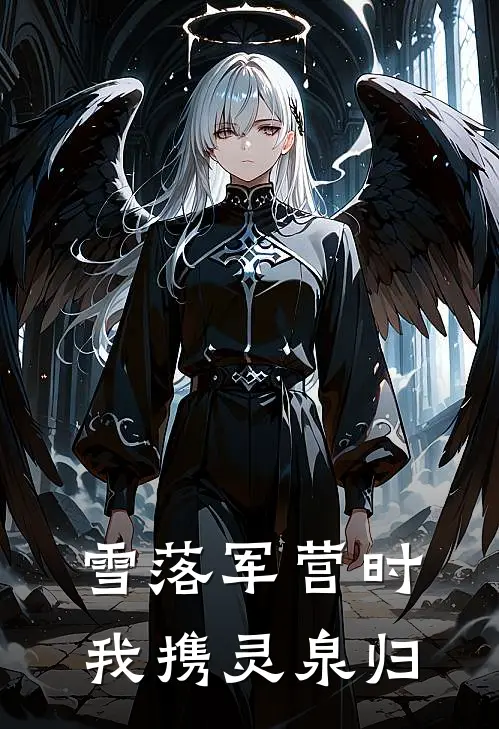 雪落军营时，我携灵泉归